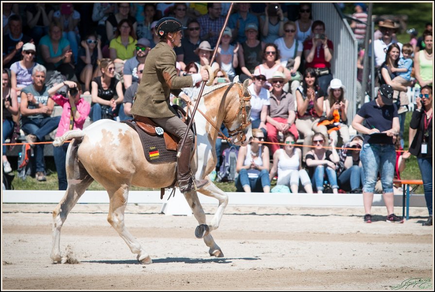 Pferd International 129